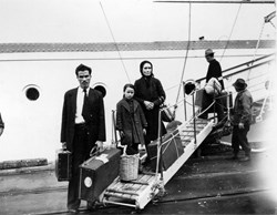 NEF: The Future of Migration