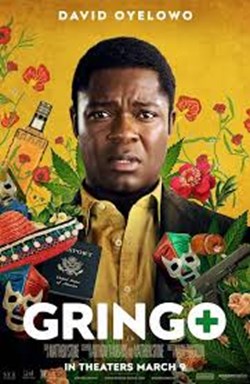 Business of Film: Gringo