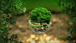 IEA: Low Energy – What a society run on green energy would look like today