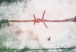 NEF: What does a progressive border policy look like?