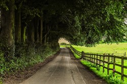 Modern Mindset: Not Good Enough?