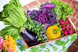 Modern Mindset: Detoxification and connection