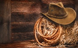 The Top Ten: The Western