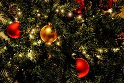 Policy Matters Christmas Special
