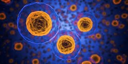 Modern Mindset: Cellular Health