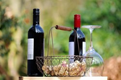 The Share Interview: Expanding your wine horizons
