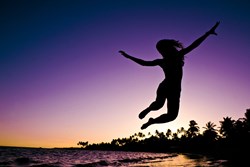 The Hypnotist: A Dolphin's Decision - Security or Freedom?