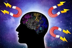 Modern Mindset: The power of the Law of Attraction