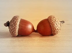 The Financial Outlook for Personal Investors: Small caps as a market indicator