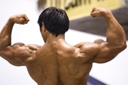 The Hypnotist: Muscle