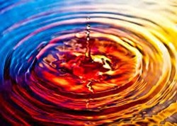 The Hypnotist: Stepping into your identity