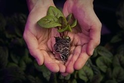 Modern Mindset: Andrew Lloyd on Vertical Farming for COP26.
