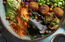 Modern Mindset: Tom Lindley on Cauldron Food Achieving Full Carbon Neutrality