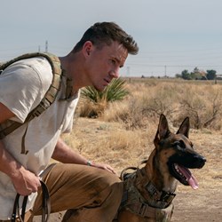 The Business of Film: Dog, Thirteen Minutes & Texas Chainsaw Massacre