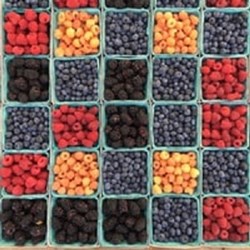 The Hypnotist: The Power to Make Healthy Choices