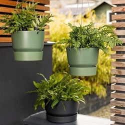 Modern Mindset: Marcus Eyles on Brit's Love of Gardening