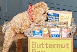 Modern Mindset: Dr Bolu Eso on Brits' Pooch Parenting Styles