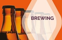 Modern Mindset: Nick Piper and Simon Pipola on the Rise in Home Brewing