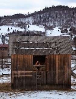 The Hypnotist: Extracting Value from the Shed of your Mind
