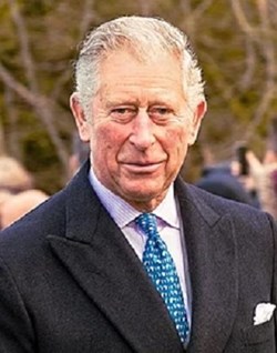 The Bigger Picture: Charles III Christmas Message 2024