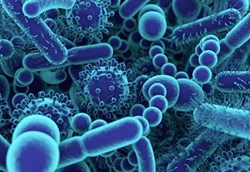 Modern Mindset: Jordan Haworth on the UK's Gut Health
