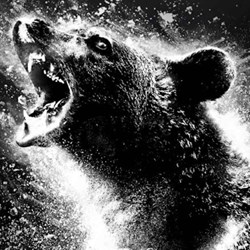 The Business of Film: Cocaine Bear, What's Love Got To Do With It, Broker & Sharper