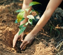 Modern Mindset: Modern Mindset: Emilio Rimini on Brits Attitudes Towards Switching to Eco-Friendly Products