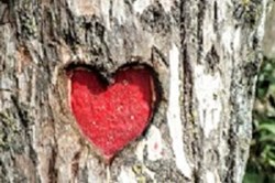 The Hypnotist: Rekindling Sexual Interest and Attraction
