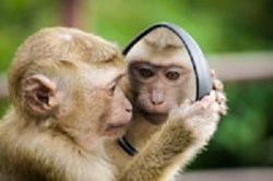 The Hypnotist: The Mirror of Self Love and Inner Beauty